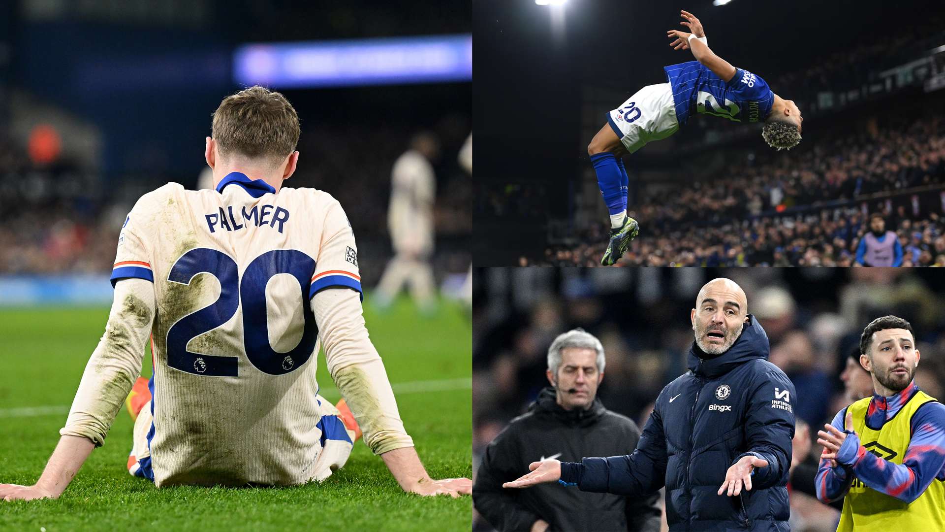 读者将对 读者将对