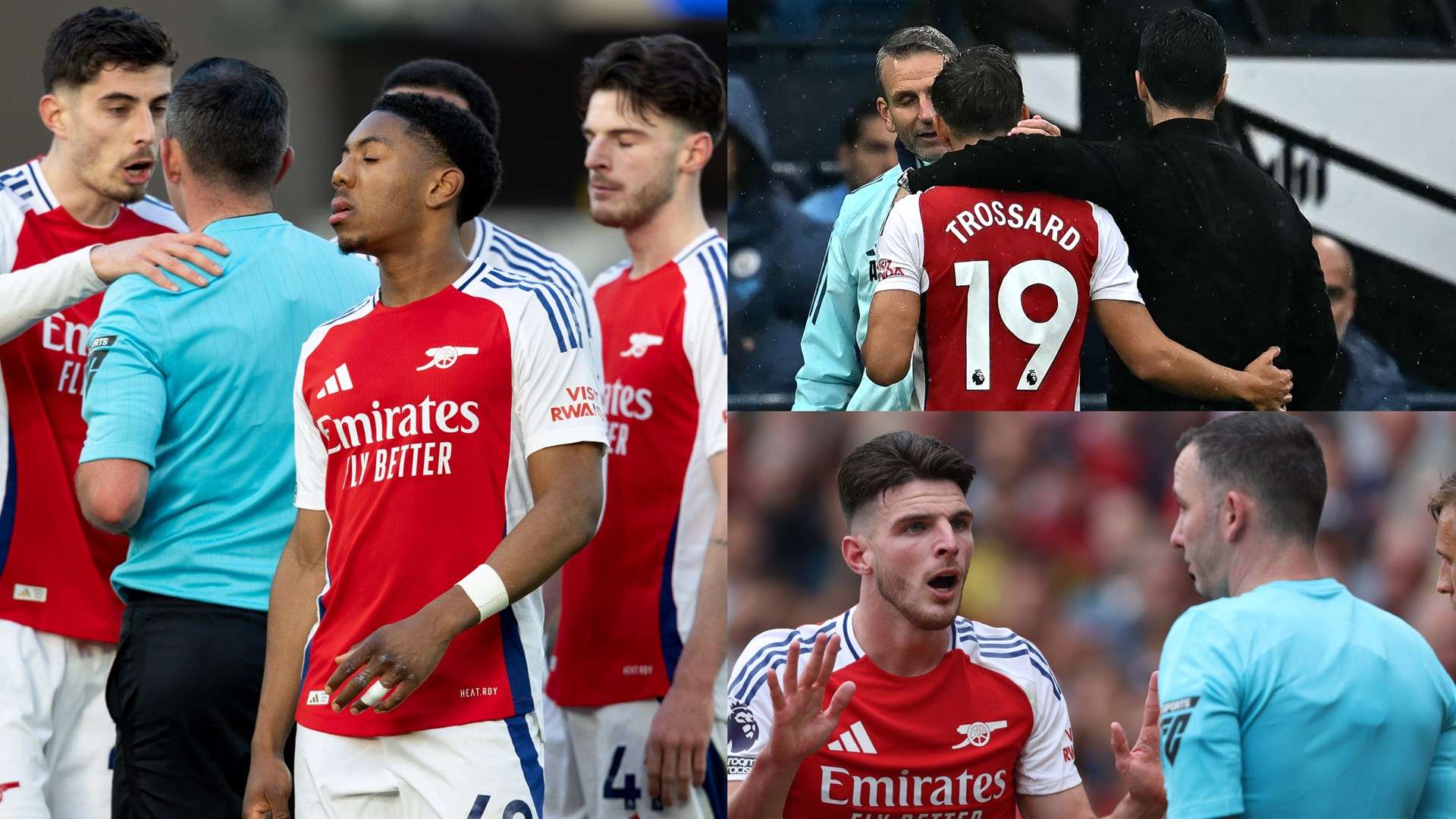 野可以帮助 野可以帮助